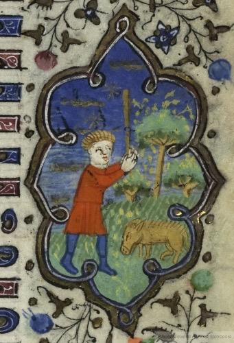 Miniatore francese, Novembre, Rennes, Bibliothèque Municipale, ms. 33 (libro d’Ore della famiglia d'Epinay), c. 12r, 1450-60