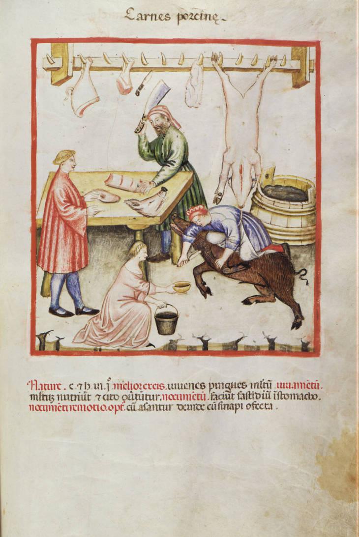 De' Grassi Giovannino, Trasformazione del maiale, Roma, Biblioteca Casanatense, ms. 4182, Theatrum Sanitatis, tav.141, XIV secolo.