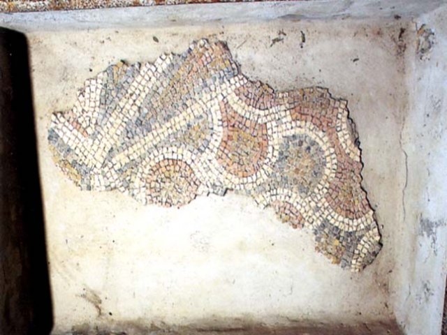 Trani. Cattedrale, cripta di S. Maria della Scala, mosaico pavimentale