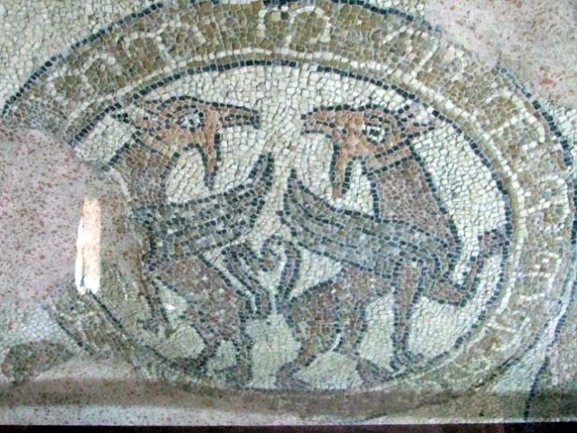 Brindisi. Cattedrale S.Giovanni, mosaico pavimentale, particolare