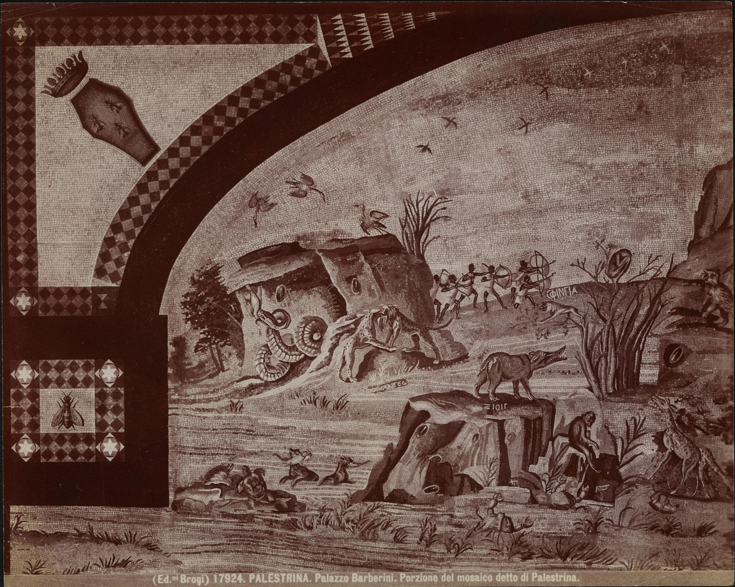 Edizioni Brogi, Palazzo Colonna Barberini, oggi sede del Museo Archeologico Nazionale, Mosaico del Nilo, particolare, albumina, MPI6099464