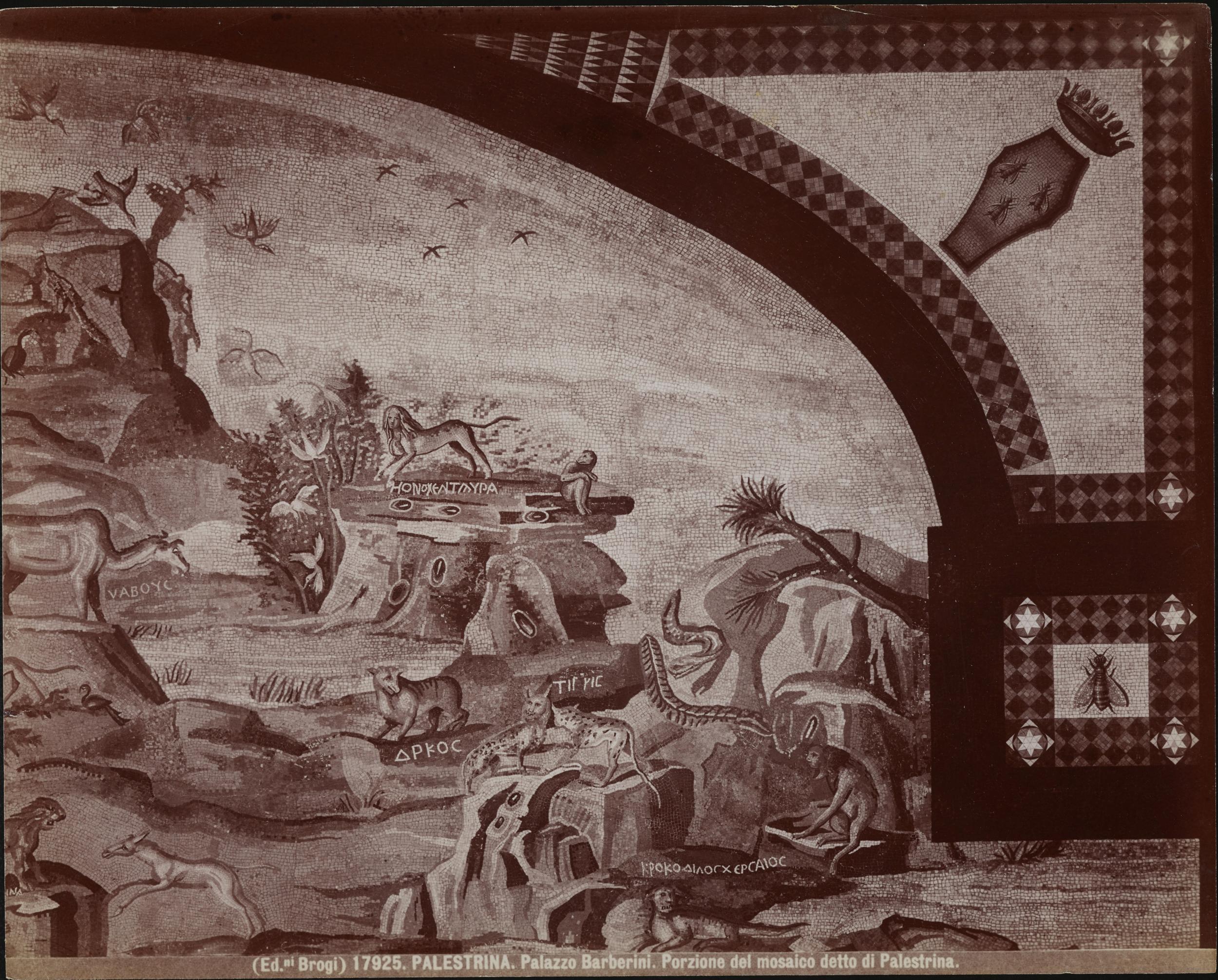 Edizioni Brogi, Palazzo Colonna Barberini, oggi sede del Museo Archeologico Nazionale, Mosaico del Nilo, particolare, albumina, MPI6099463