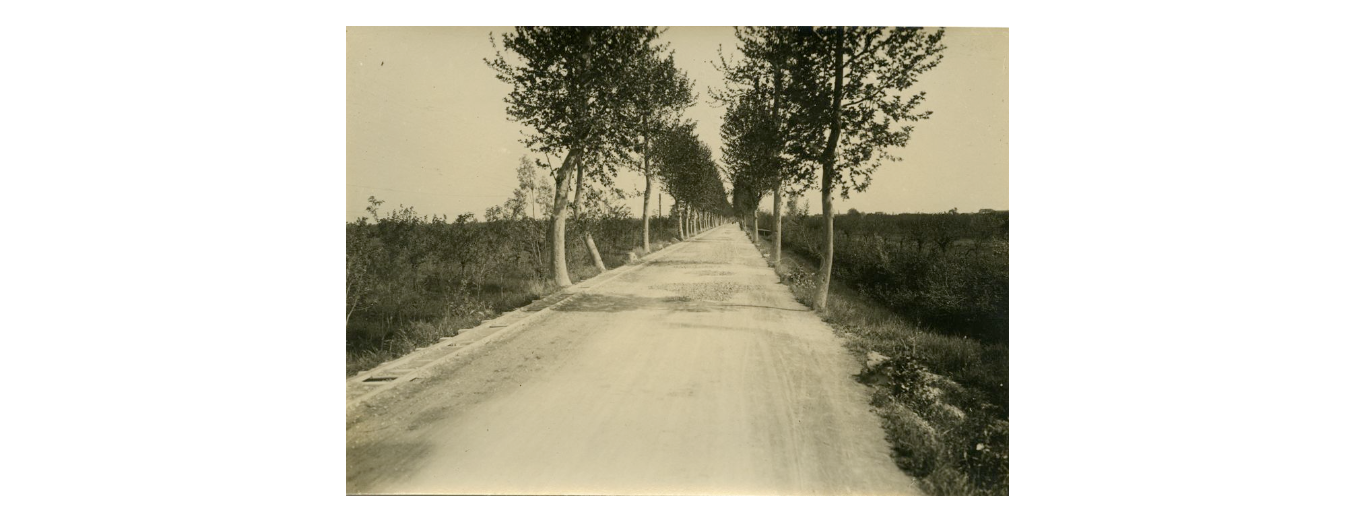 Fotografo non identificato, tratto stradale tra Ponte di Piave e Oderzo ripristinato dal Genio Militare, 1919, gelatina ai sali d'argento, 12x17 cm, PV000174