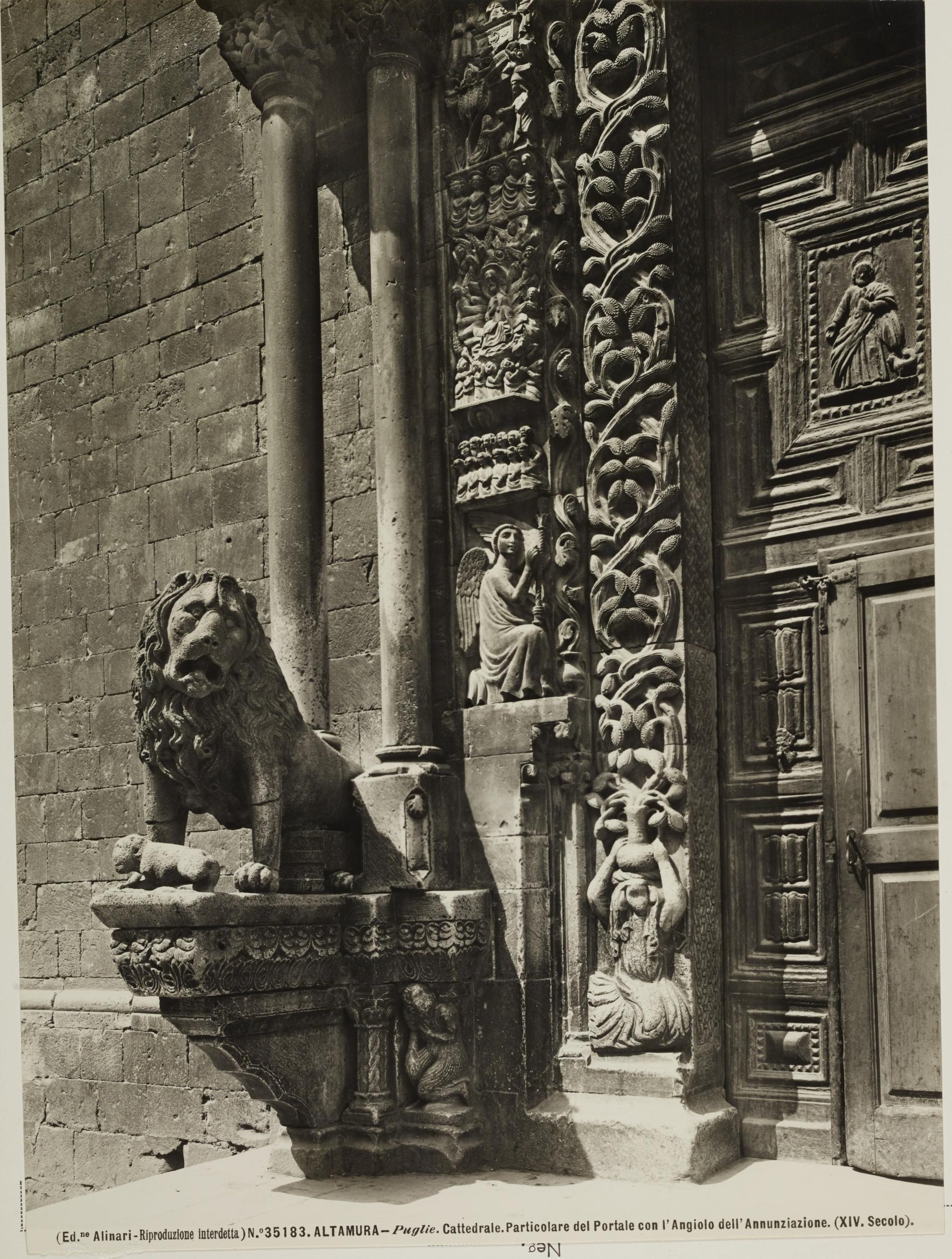 Fratelli Alinari, Altamura - Cattedrale di S. Maria Assunta, portale,particolare, 1951-2000, gelatina ai sali d'argento/carta, MPI130827
