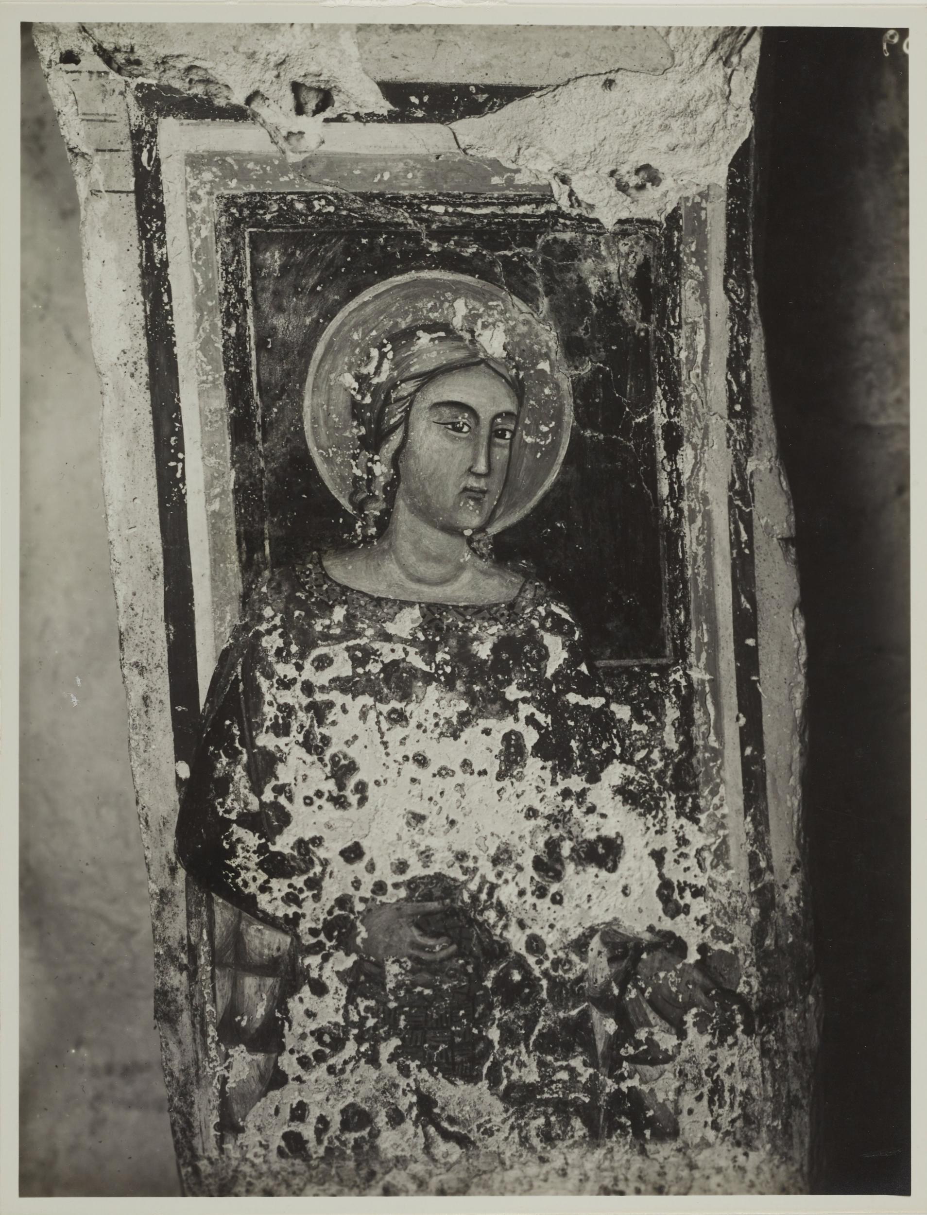 Fotografo non identificato, Andria - Chiesa di S. Croce, cripta, S. Dorotea, 1926-1950, gelatina ai sali d'argento/carta, MPI131866
