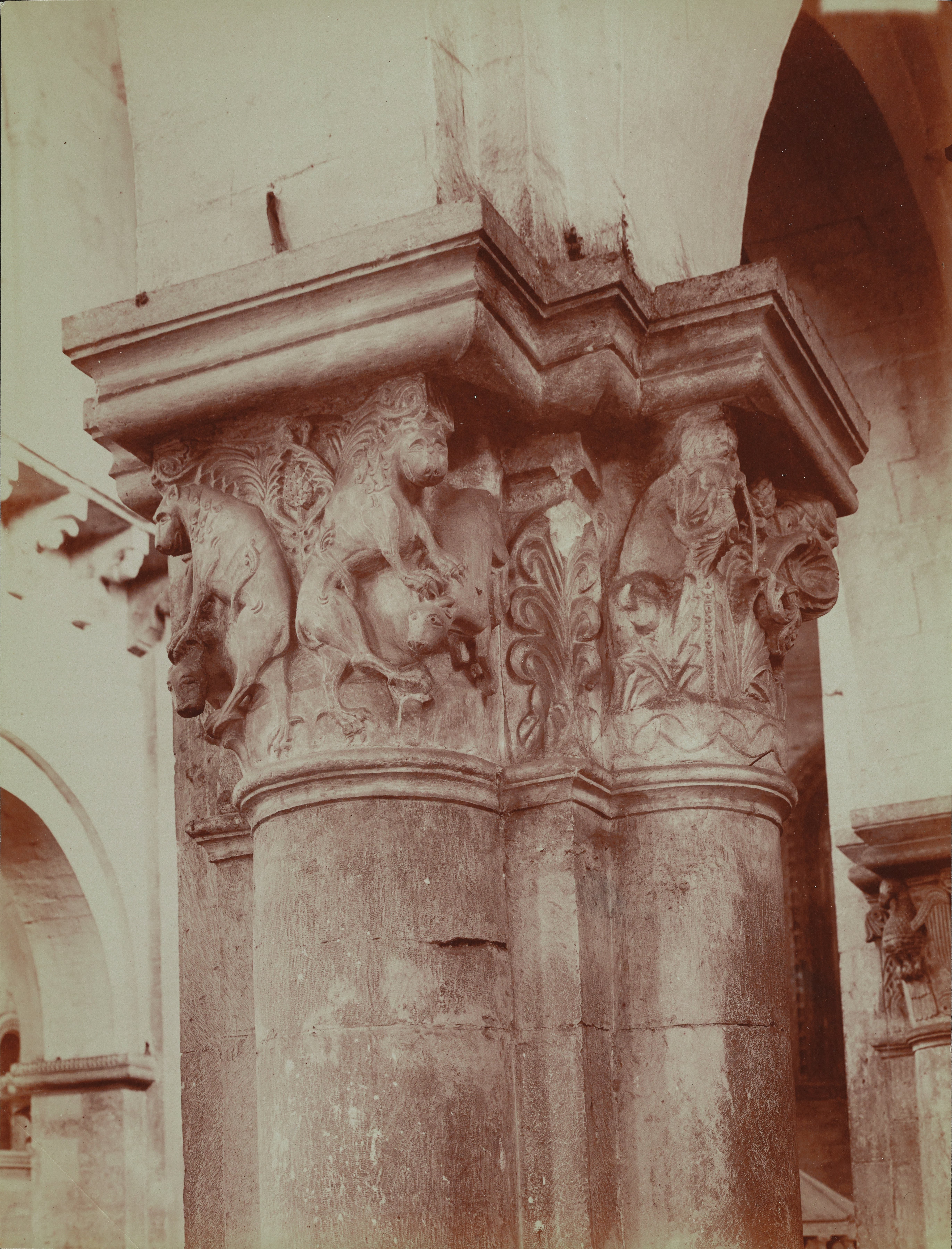 Fotografo non identificato, Ruvo di Puglia - Cattedrale S. Maria Assunta, interno, capitello scolpito, 1901-1910, albumina, MPI6091668