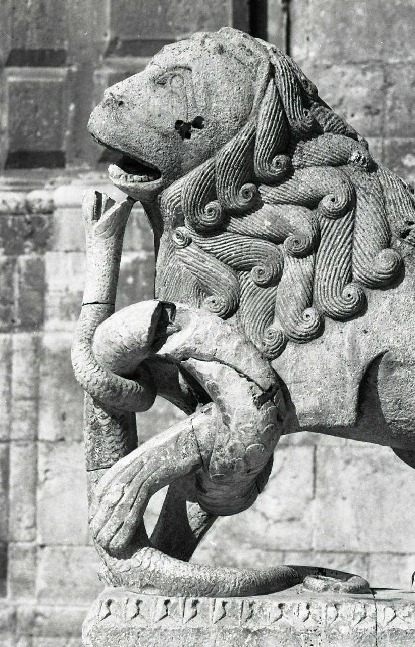 Paolo Monti, Particolare di uno dei leoni stilofori, servizio fotografico (Bitetto, 1970) - BEIC 6358187