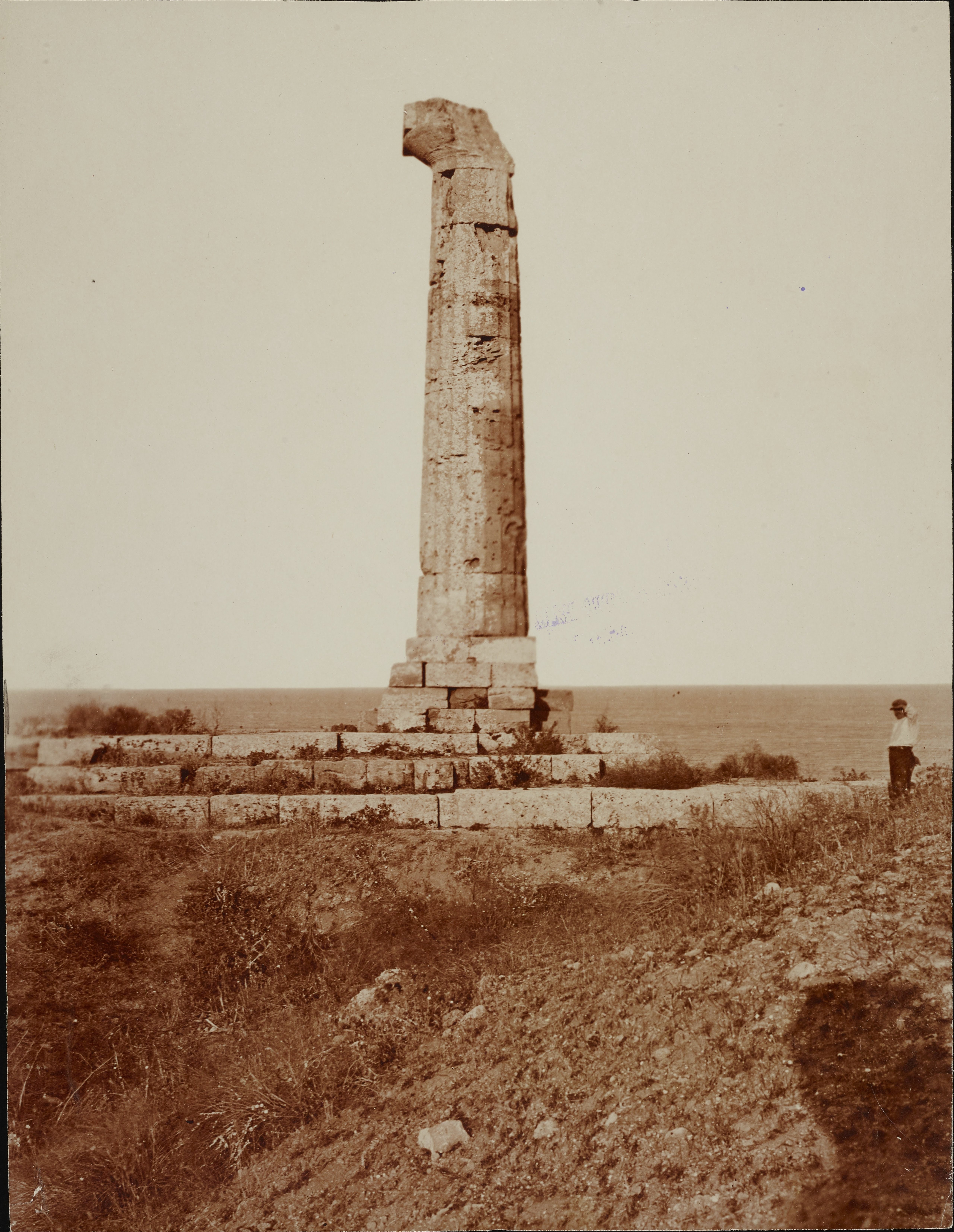 Fotografo non identificato, Crotone, Capo Colonna - Tempio di Hera Lacinia, ultima colonna rimasta in piedi, 1901-1925, carbone, MPI308843