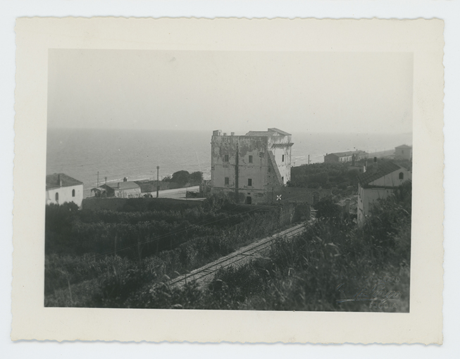 Rodolfo Longo fotografo, post 1900 ante 1933, bromuro d’argento/carta, Biblioteca Provinciale di Foggia