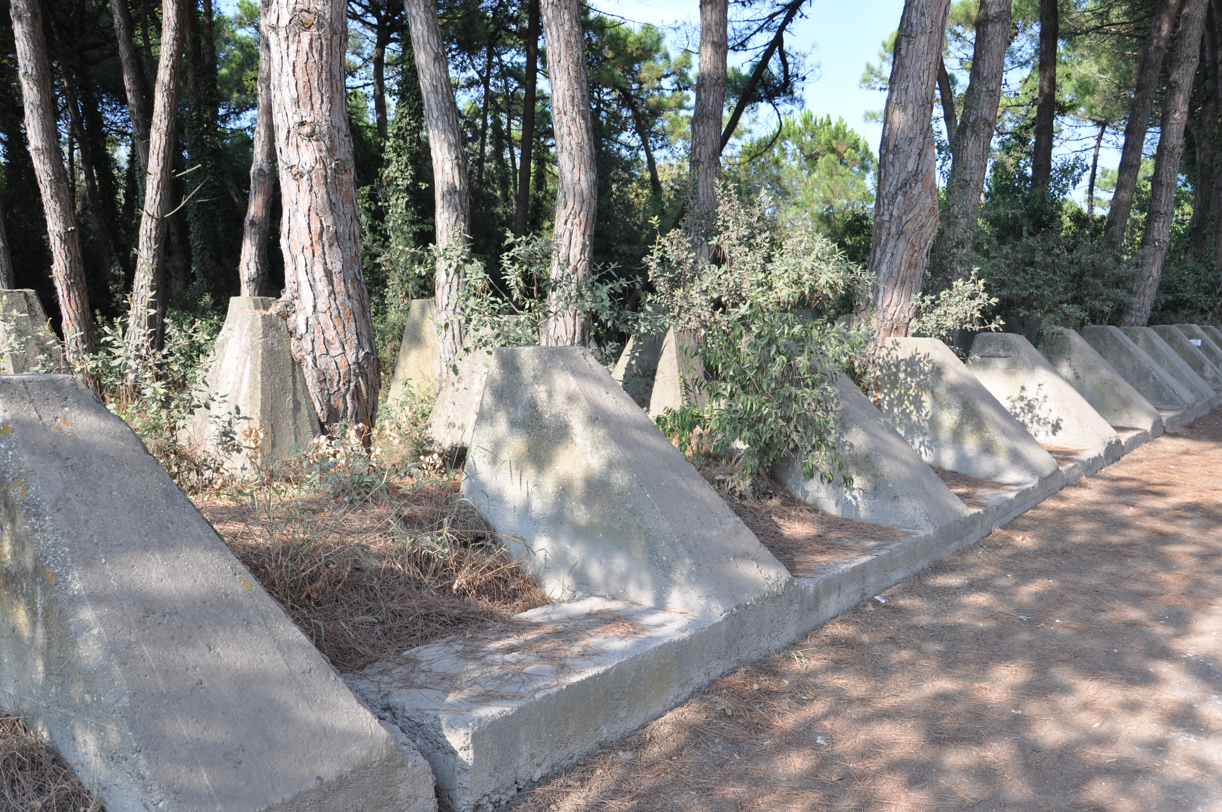 Chiara Mariotti, Bunker musealizzato pineta Punta Marina Terme, 29/08/2019, Punta Marina Terme (RA)